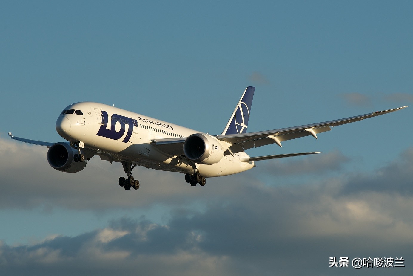 中东欧四国或设立国家航空，波兰航空将会是其主要成员