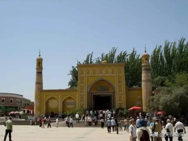 新疆有20个重要知识点,疆新