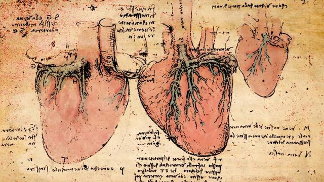 达芬奇密码被解开了吗,达芬奇密码2010