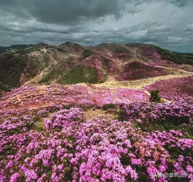 被大理的美景所折服,被丽江的风景美到了