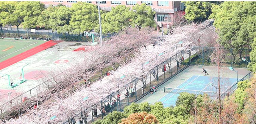 五月份上海有什么新消息,上海4月份有哪些消息