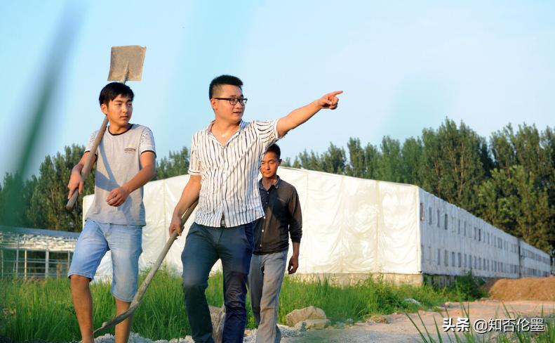 8个农村创业的好项目推荐,创业不如回家种地