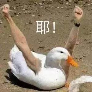 怎么判断天猫旗舰店的真假,怎么辨别天猫正品假货