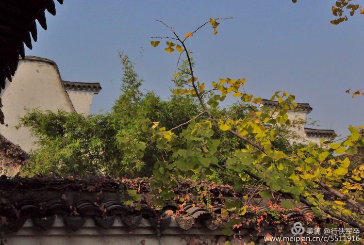 无锡有几个古镇免费景点排名,无锡古镇旅游景点排名前十