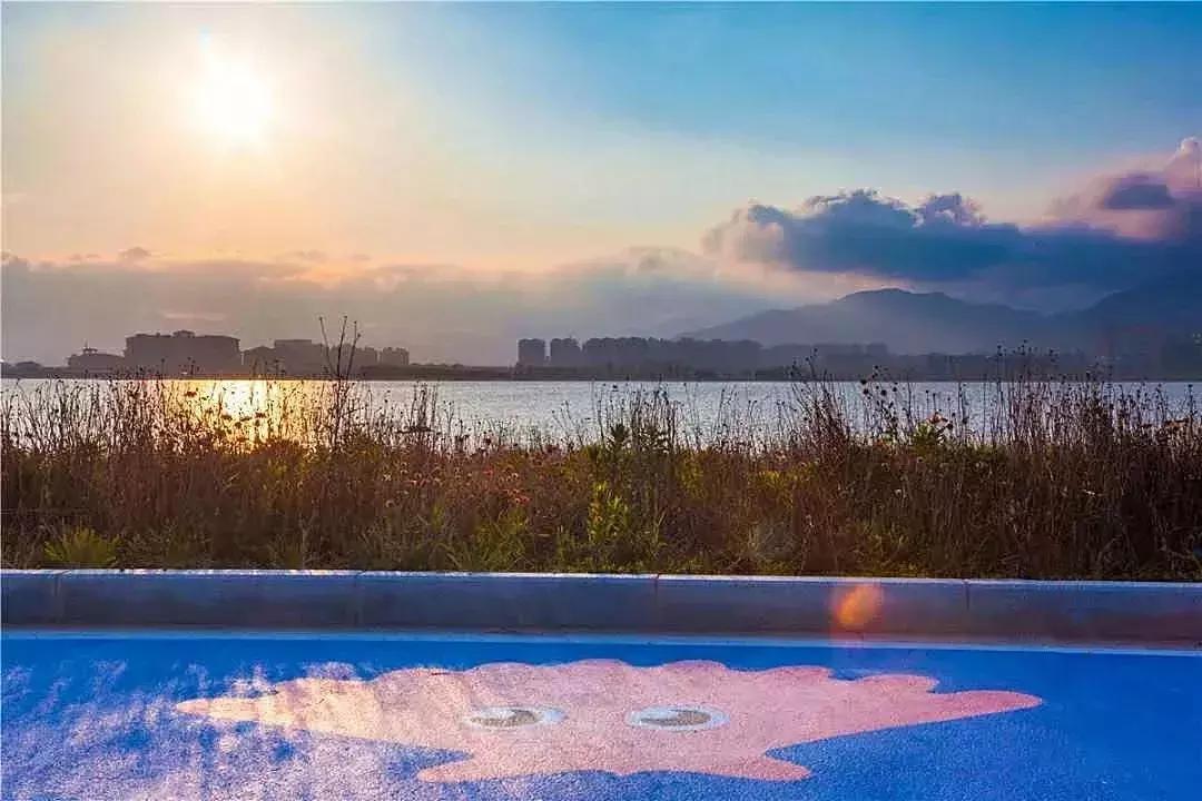 市区出发1h藏着一个“绿岛”？赛车、帆船…梅山原来如此洋气！