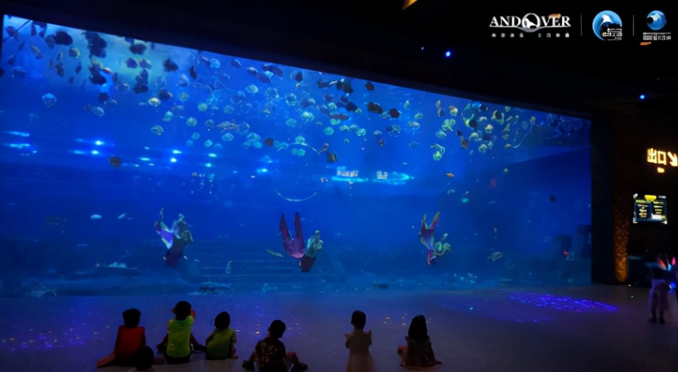 去不了海就去海洋馆,去不了大海就去海底世界