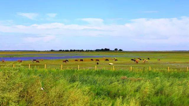 吉林省风景好的公路,吉林省第一条高速公路是哪条