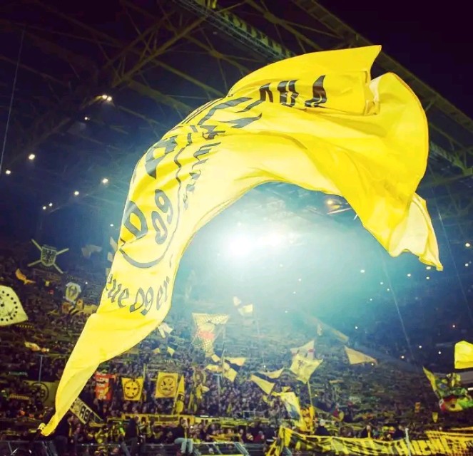 黄黑之墙电影,黄黑的墙