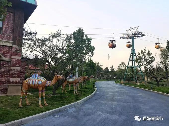 齐河附近带孩子自驾游景点,周边亲子游齐河