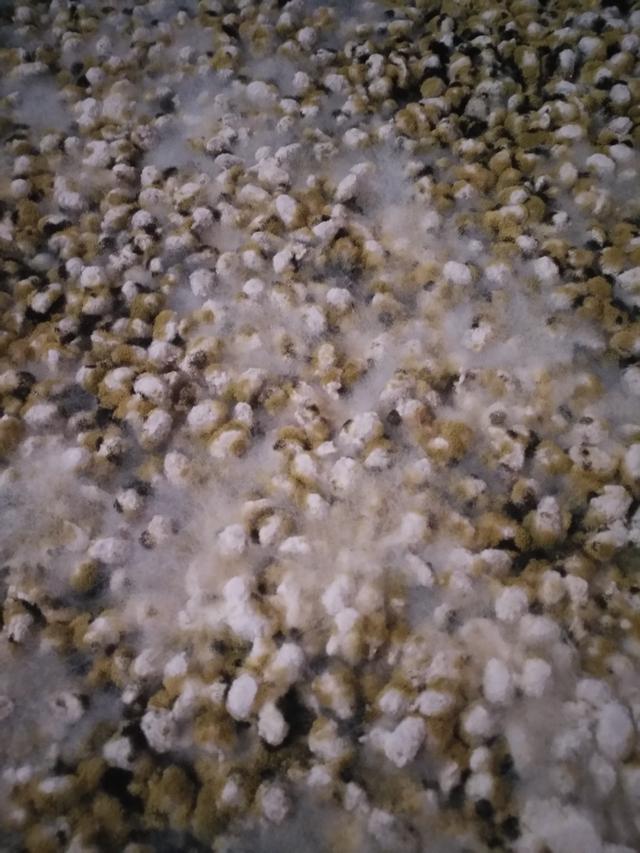 西瓜酱的制作全过程,制作西瓜酱的全过程