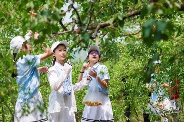 鍖椾含閲戞捣婀栧厤璐归湶钀ョ殑鍦版柟,閲戞捣婀朼kid姘翠笂杩愬姩