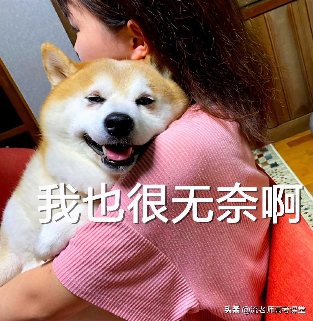 考不上二本读哪些学校,高考考不上还可以在本校复读吗