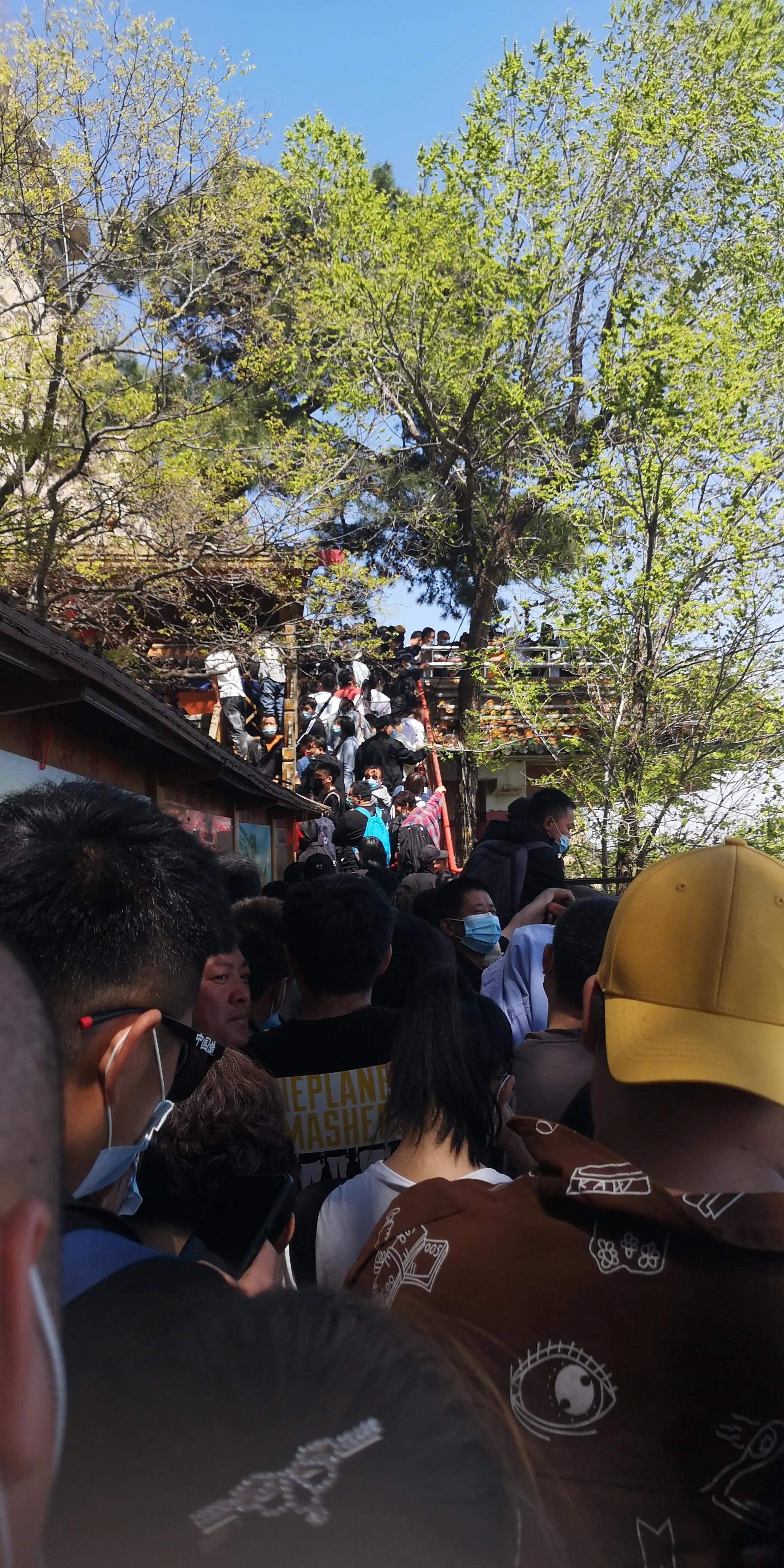 青岩寺风景区歪脖老母,沈阳青岩寺歪脖老母一日游多少钱