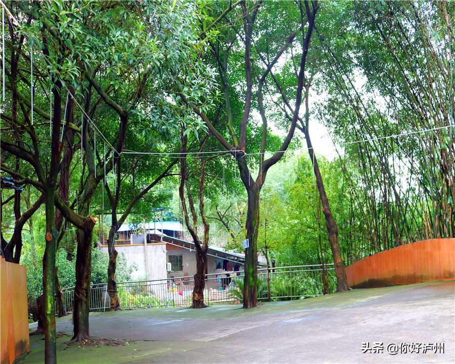 泸州最美农家乐,泸州特色农家乐