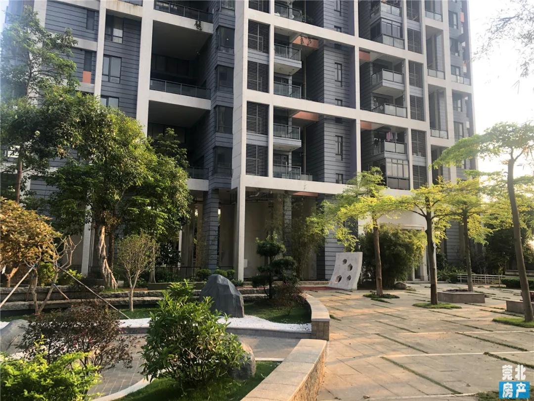 园洲东江府楼盘,惠州园洲东江府房价最新