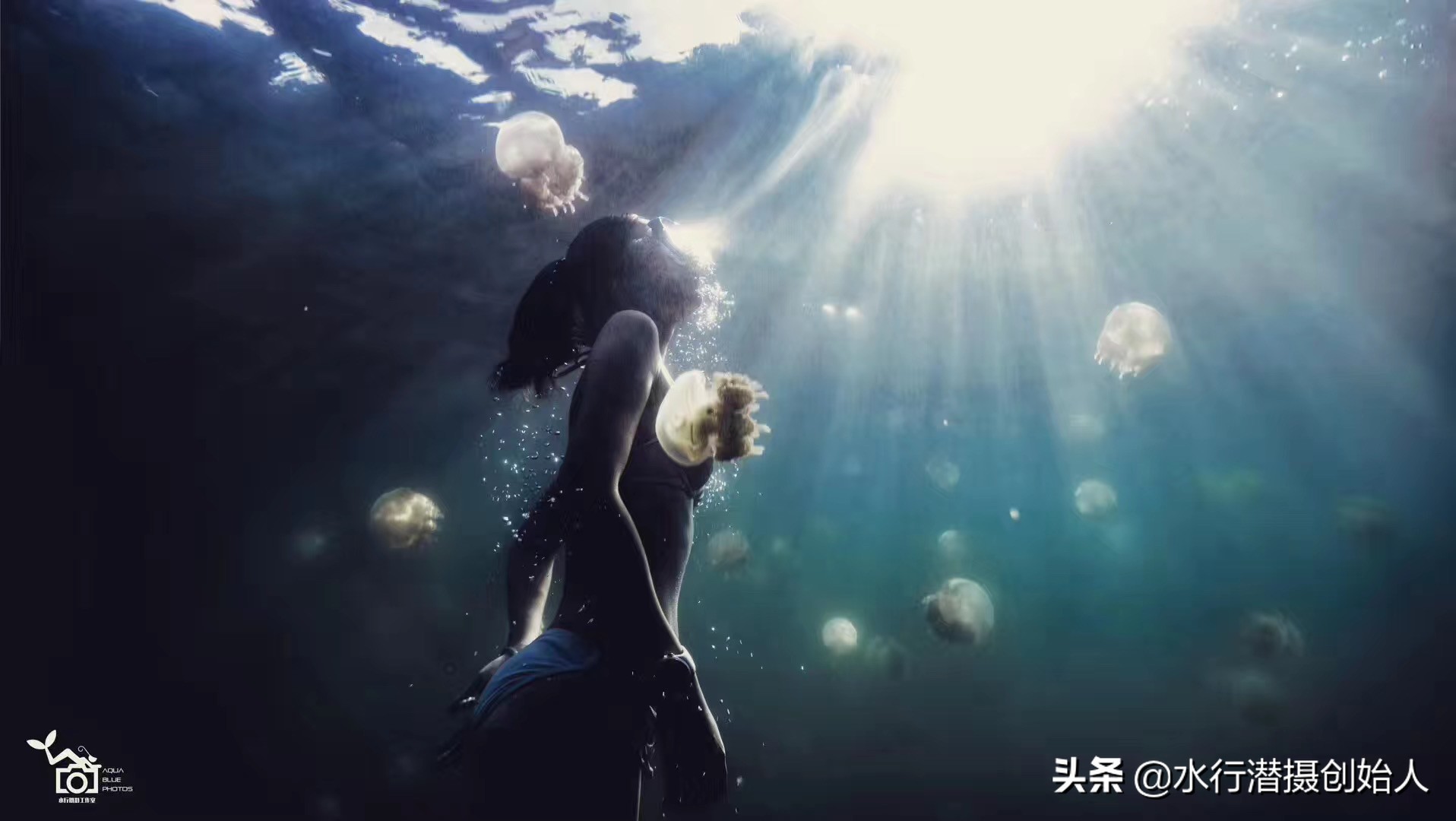 帕劳岛自由行潜水,帕劳水母湖自由潜视频