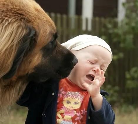 孩子胆小害怕是教育过早造成的吗,孩子总是特别害怕犯错