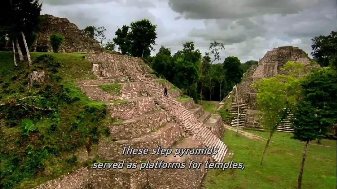 值得看的艺术纪录片,适合放假在家看的纪录片