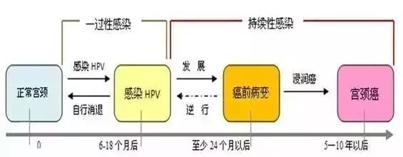 HPV阳性不治疗它会不会自己转阴,31hpv阳性要治疗不