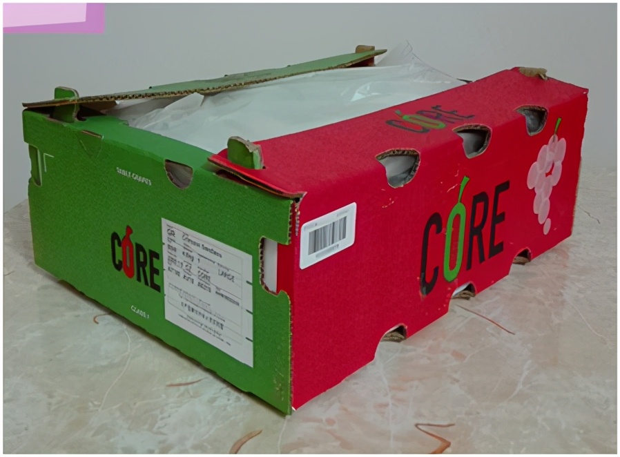 提子品种和介绍 (提子的品种都有哪些)