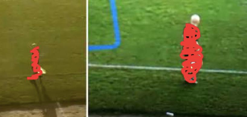 ai把光头误认成足球,ai把光头当成足球