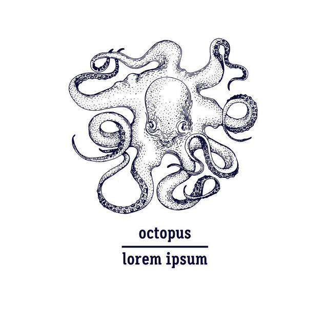 章鱼是生物探测器吗,多国科学家研究章鱼