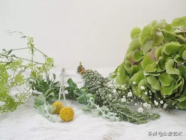 干花布置省钱,什么花适合做干花