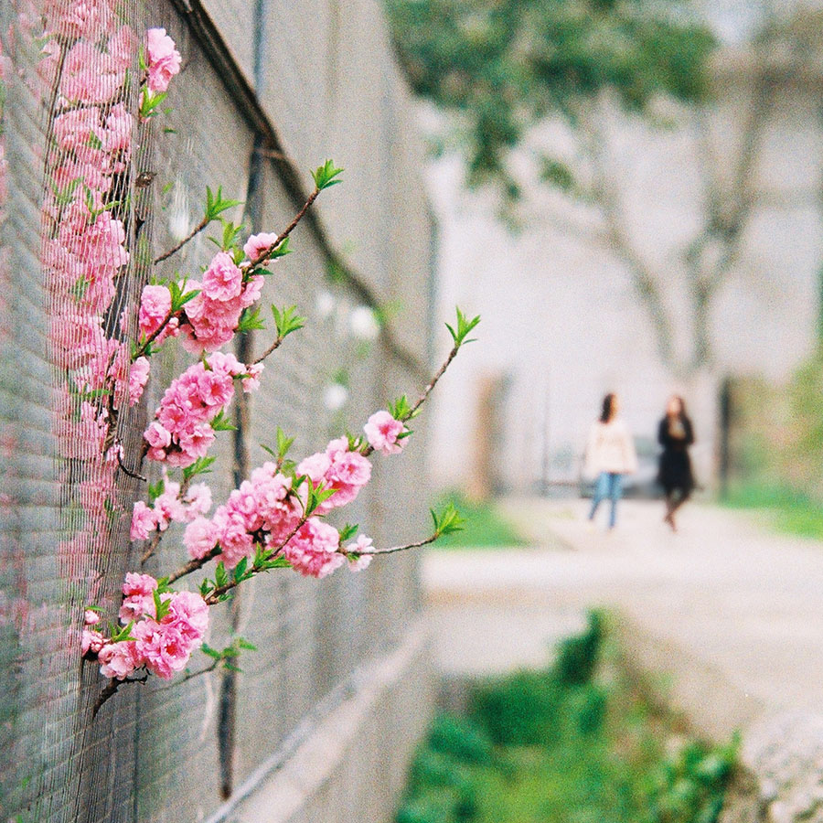 关于二手（这是个沉重而有趣的话题）