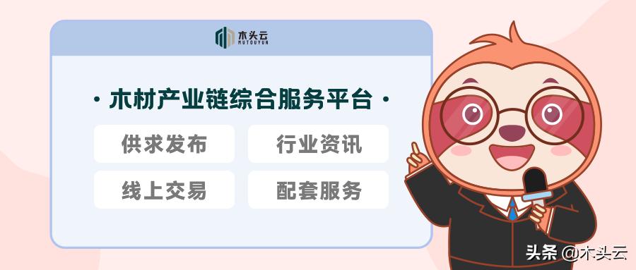 中国进口原木锯材多少钱,国际木材价格