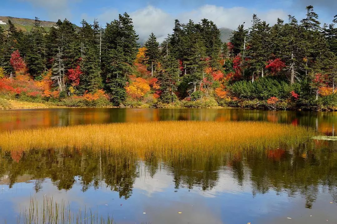 停车坐爱枫林晚风景,停车坐爱枫林晚季节