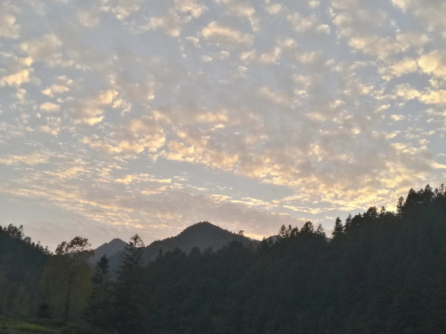 2024年驻村日记100篇简短感悟,驻村工作日记40篇200字春节前