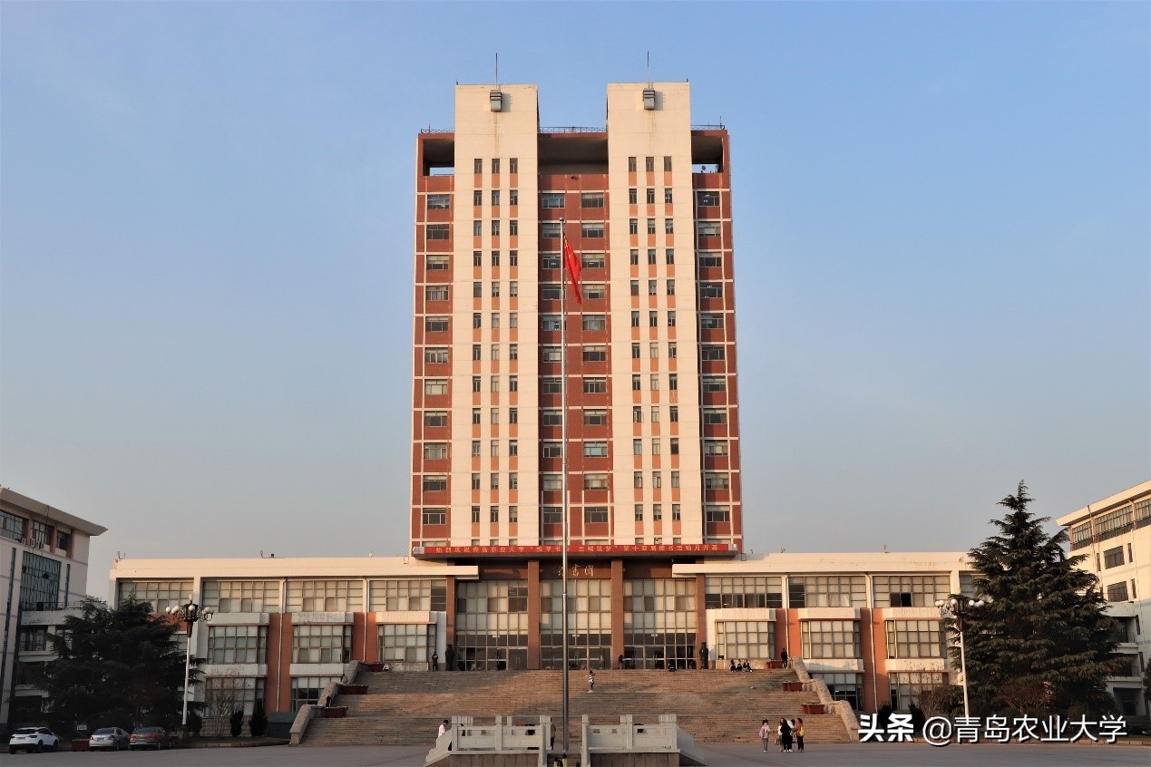 介绍青岛农业大学,令人心动的青岛