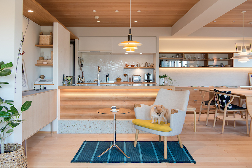 家有宠物怎么装？硬装和软装都考虑周到了，住起来才不会出错