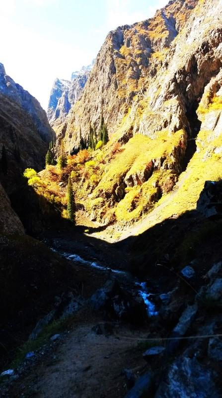 带上UL从狼塔C回家