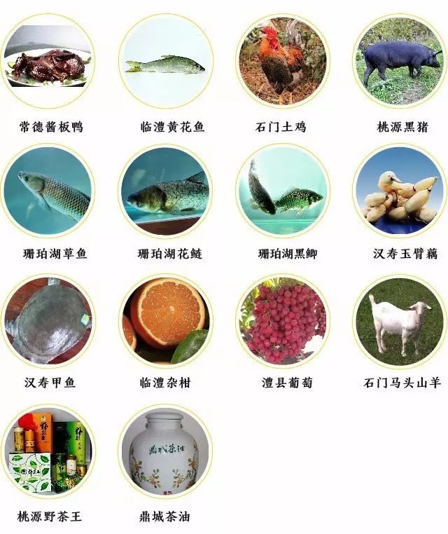 湖南省第五批国家级非遗保护名单,湖南省重点商标保护名录名单