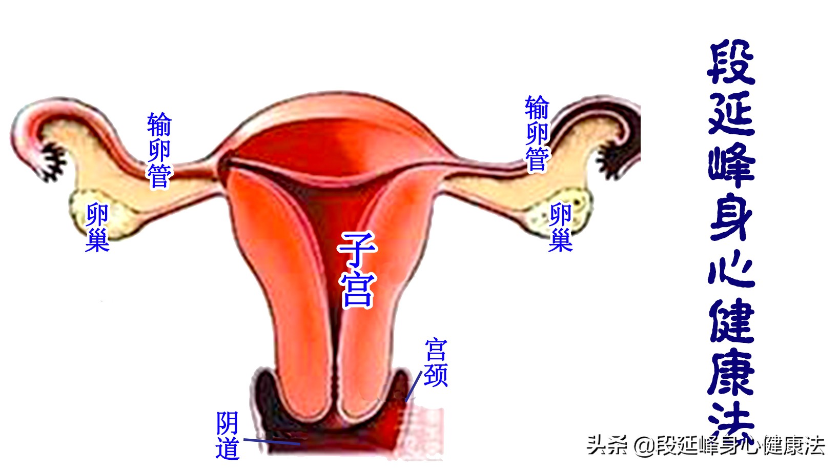 有什么治疗月经不调痛经的方法,痛经都怎么治疗得好呢吃什么药