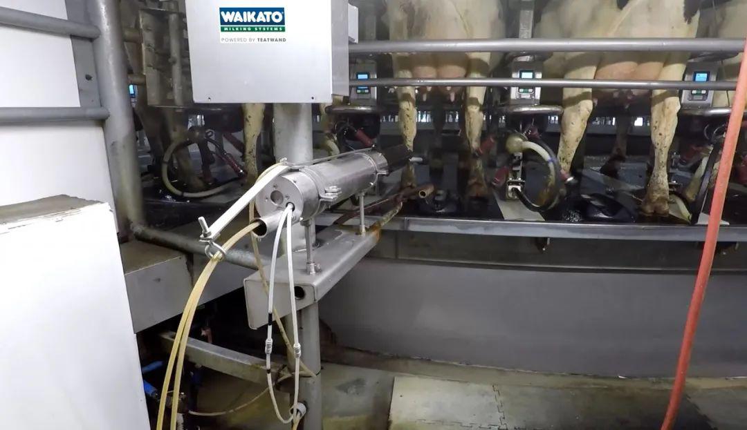 第十届中国国际奶业展览会,国际奶业博览会