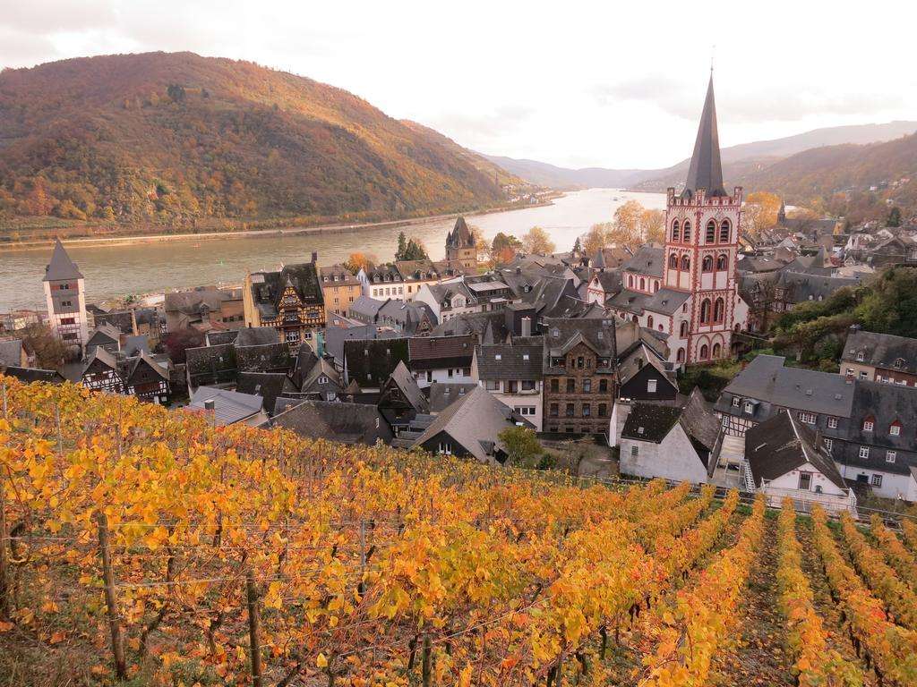 如果你已经过了相信童话的年龄，那更要来德国这座迷人的莱茵小镇