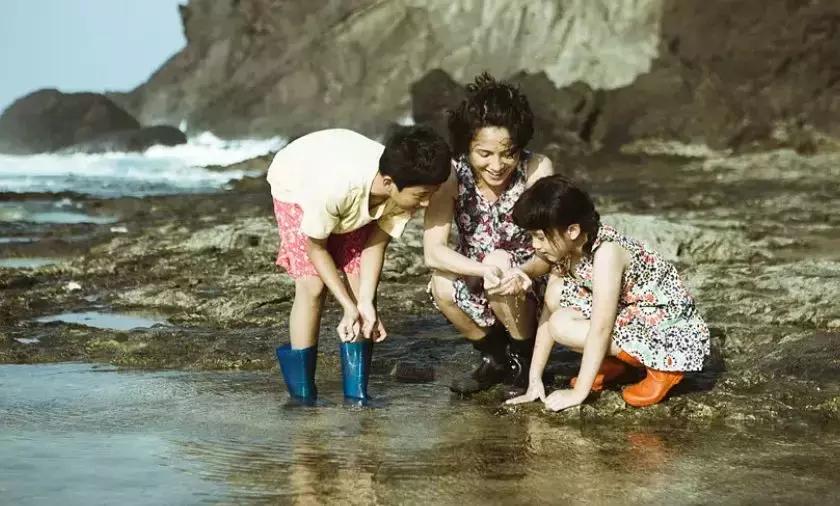 产生危机的原因,导致危机事件的因素