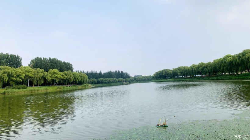 海淀区稻香湖景酒店,北京海淀稻香湖景酒店夜景