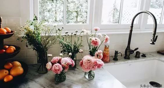 可以在家自己制作的清洁剂,自制清洁剂只需几毛钱