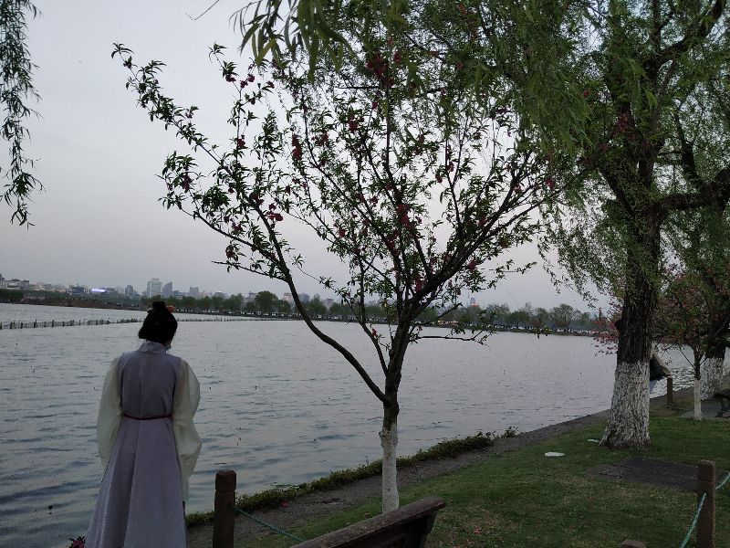 林逋隐居西湖孤山,林逋隐居杭州孤山阅读答案