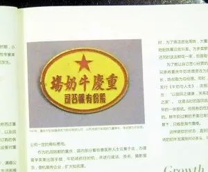 哪个地方的牛奶最好喝,中国哪个省的牛奶最好喝