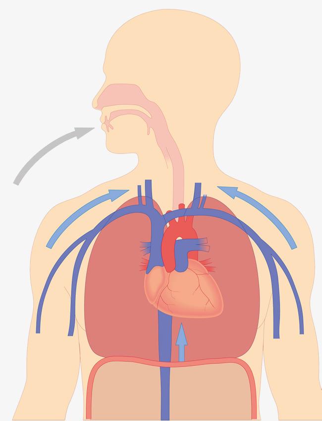 哭的时候喘不上气抽搐是什么症状,为什么身体平常会像哭完一样抽搐