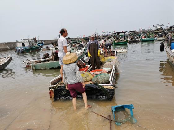 廉江龙营钓鱼视频,湛江市遂溪草潭码头钓鱼视频