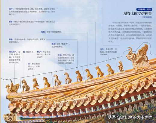 杭州博物馆镇馆之宝图片,杭州博物馆镇馆之宝在几层