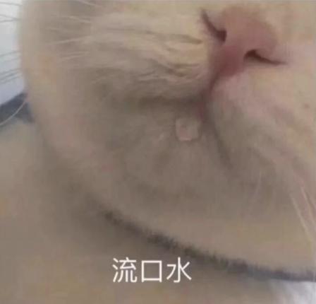 柳州螺蛳粉是不是有各种不同,柳州螺蛳粉现在到底有多出名