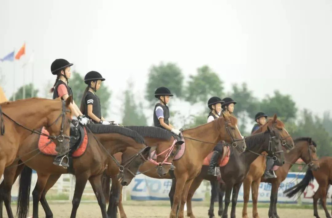 草堂先生小说,草堂先生杜甫简历