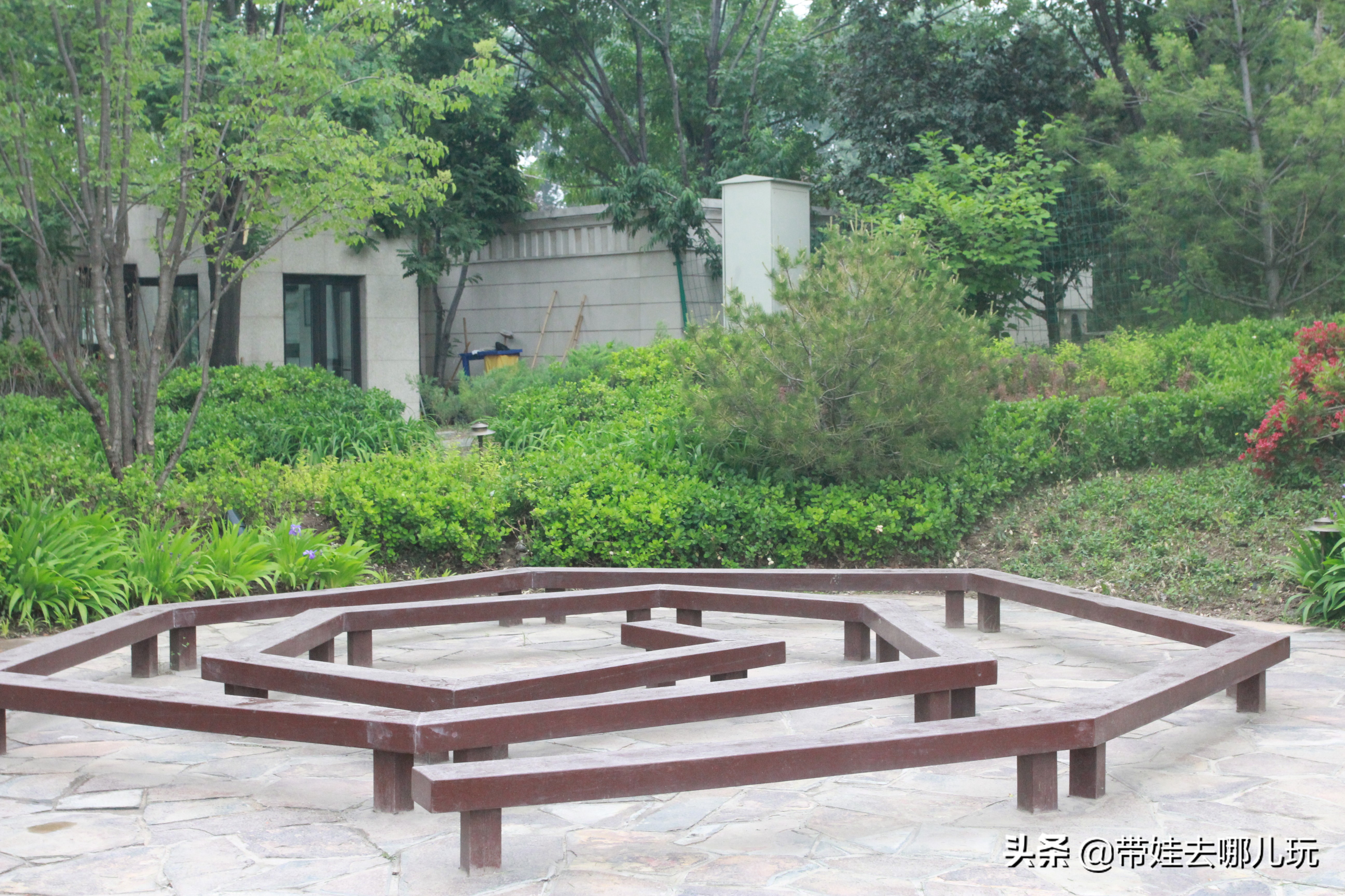 海德公园参观,北京的海德公园