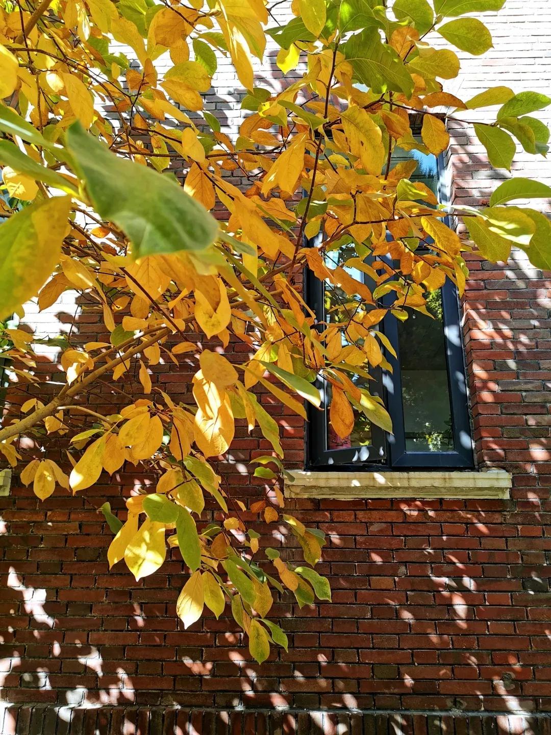 天津市耀华中学冯耀忠,天津市耀华中学招聘